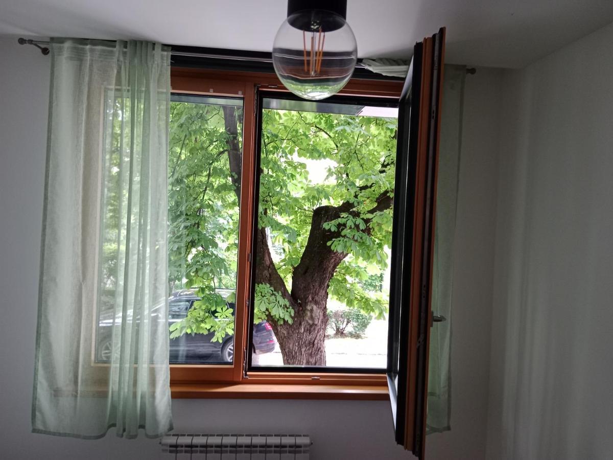 Sava Apartment Новий Сад Екстер'єр фото